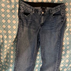 Lane Bryant 16L Tall Venezia Boot Cut